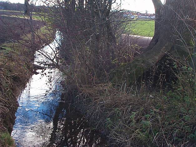 Entenbach_03.11.2