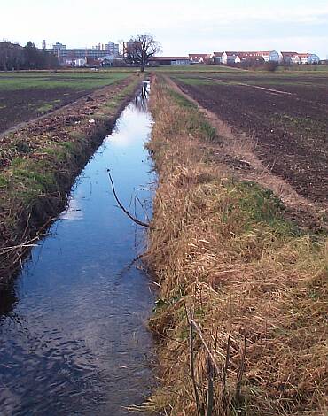 Entenbach_02.11.2