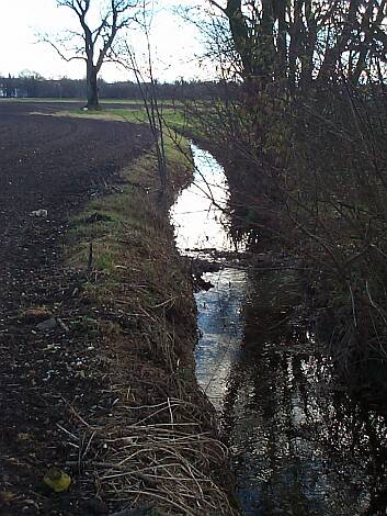 Entenbach_04.11.2