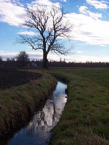 Entenbach_05.11.2