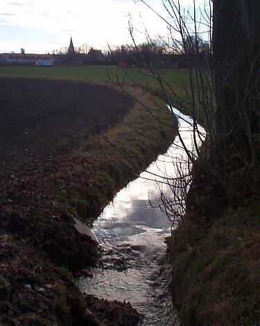 Entenbach_06.11.2