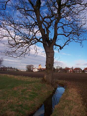Entenbach_07.11.2