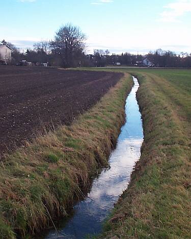 Entenbach_08.11.2