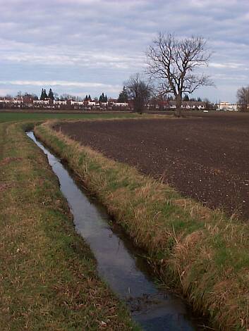 Entenbach_09.11.2