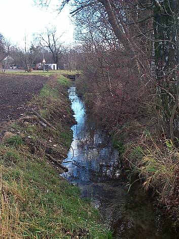 Entenbach_10.11.2