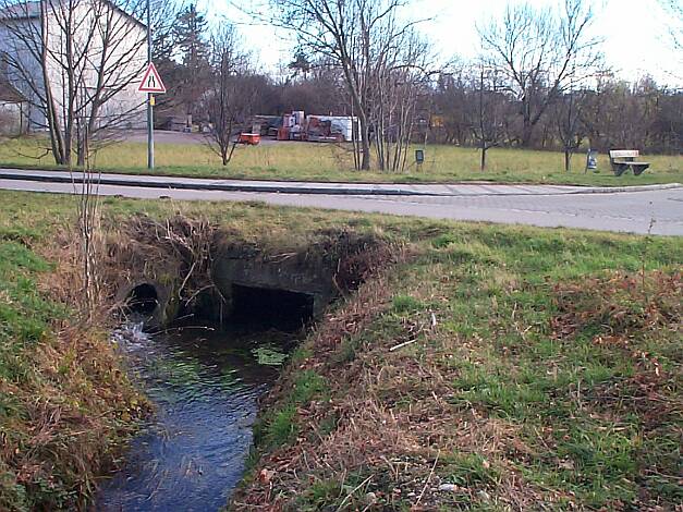 Entenbach_11.11.2