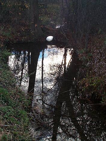 Entenbach_15.11.2