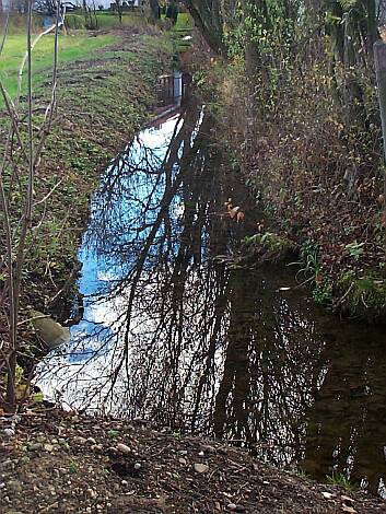 Entenbach_16.11.2