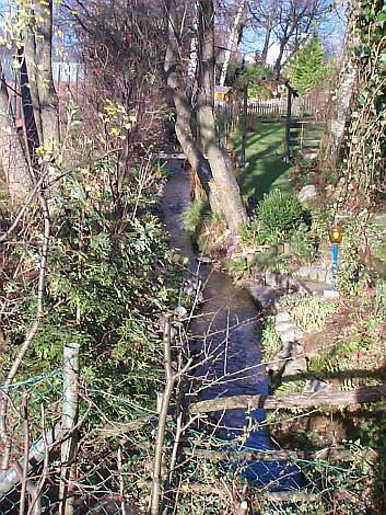 Entenbach_17.11.2