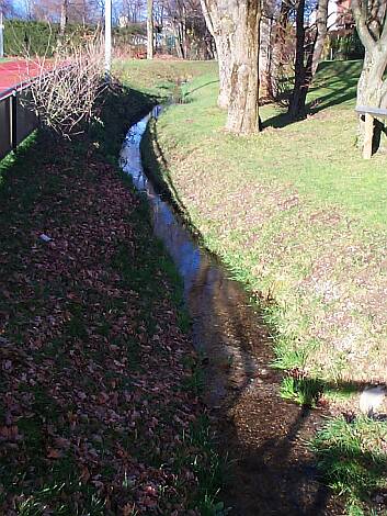 Entenbach_18.11.2