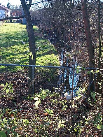 Entenbach_20.11.2