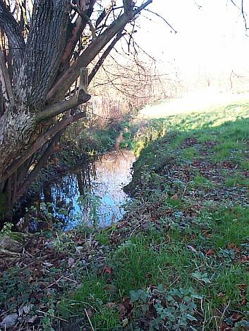 Entenbach_22.11.2