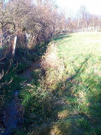 Entenbach_21.11.2
