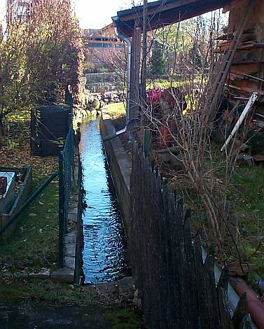 Entenbach_23.11.2