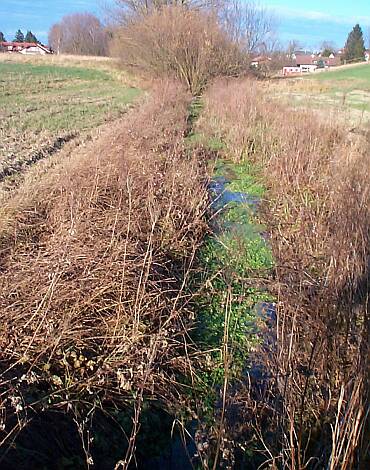 Entenbach_27.11.2