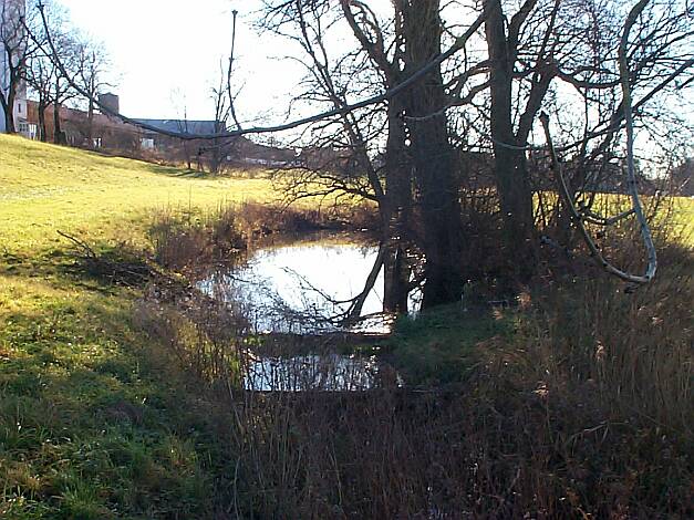 Entenbach_30.11.2