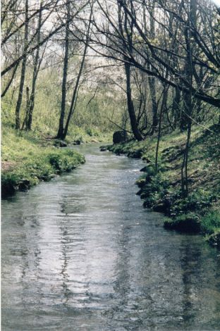Foto 15.1.31