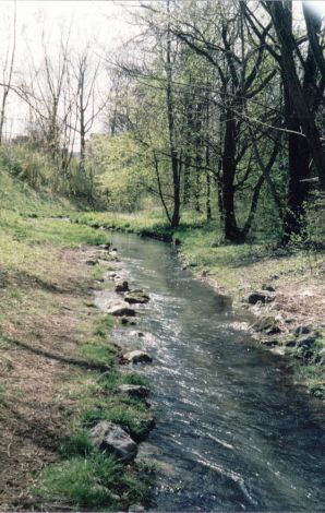 Foto 17.1.33