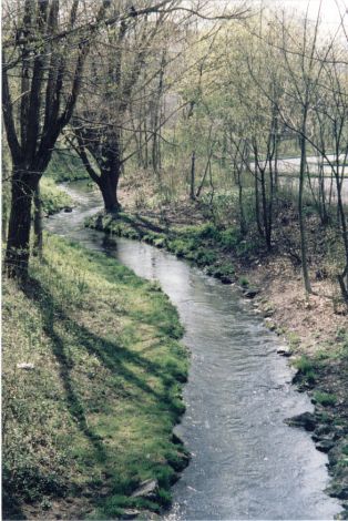 Foto 19.1.35