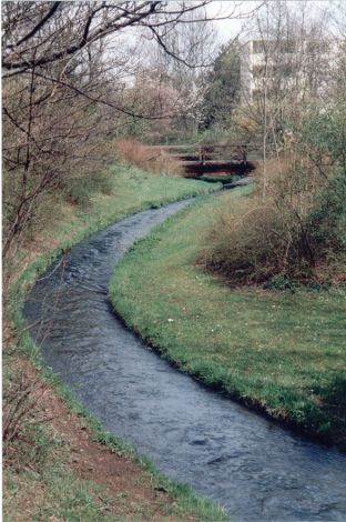 Foto 25.2.04