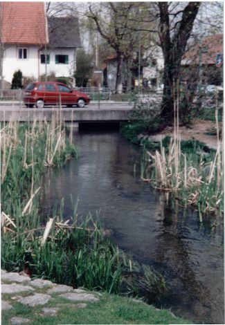 Foto 42.2.21