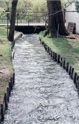 Foto 59.3.04