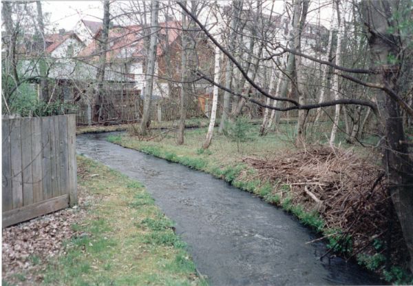 Foto 63.3.08