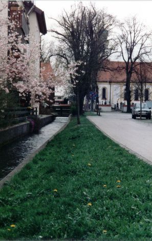Foto 74.3.19