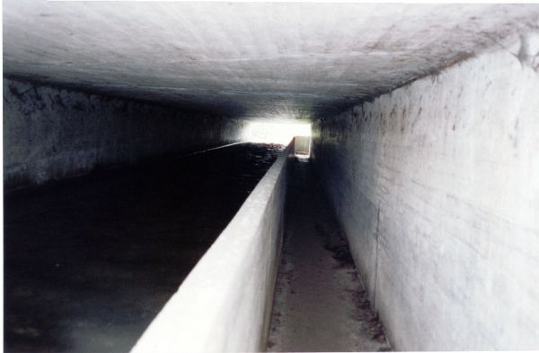 Foto 80.3.25