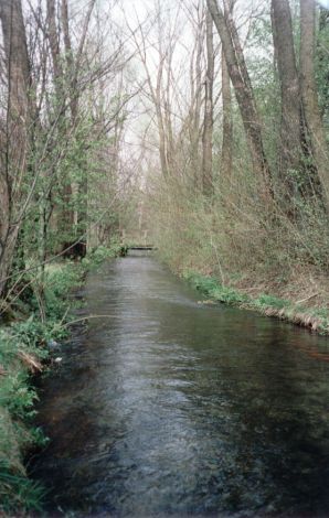 Foto 98.4.05