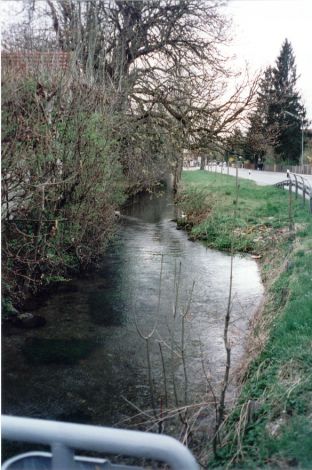 Foto 113.4.20