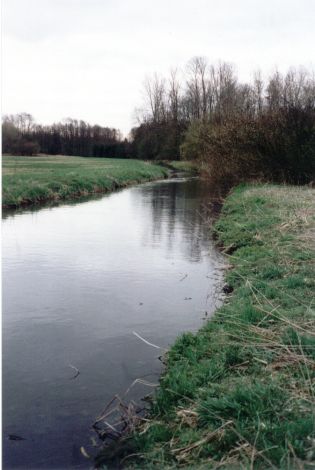 Foto 122.4.29