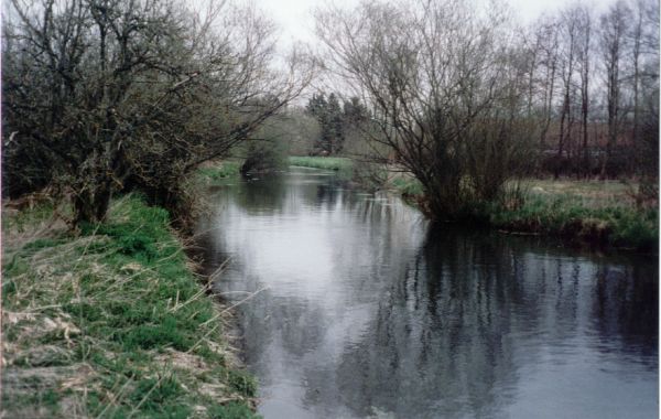 Foto 123.4.30