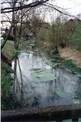 Foto 128.4.34