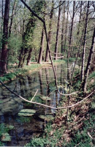 Foto 132.5.28