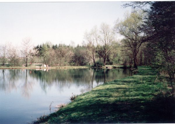 Foto 134.5.31
