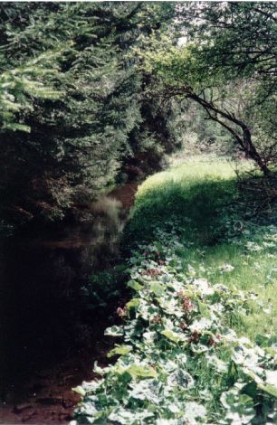 Foto 164.6.27