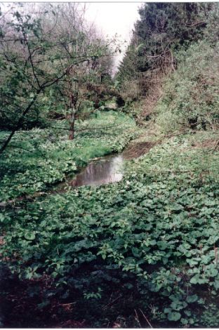 Foto 165.6.28
