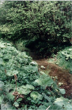 Foto 166.6.32