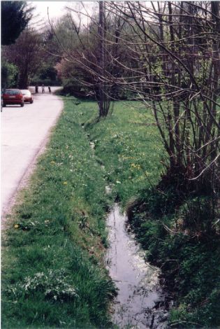 Foto 169.6.34