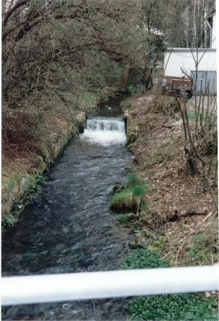 Mangmühle