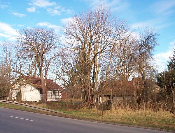 Zaunmühle